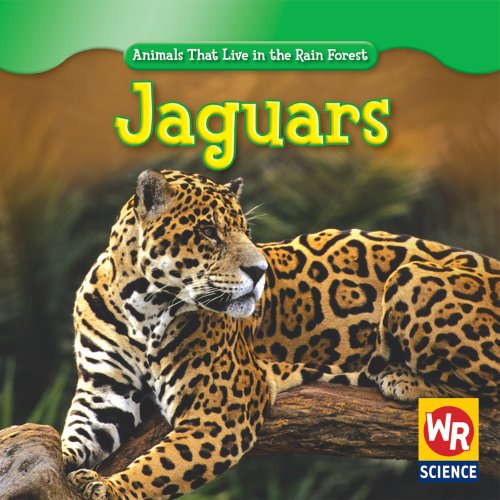 9781433900235: Jaguars (Animals That Live in the Rain Forest)