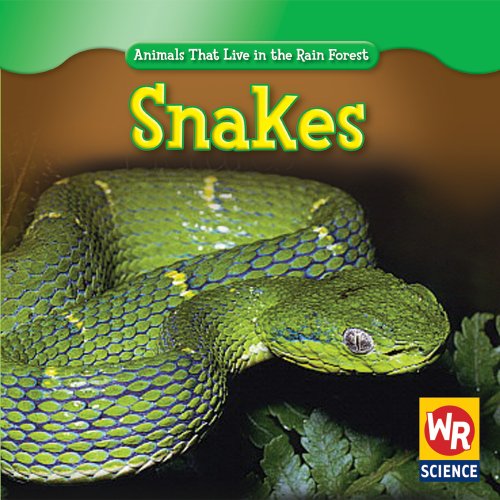 Beispielbild fr Snakes (Animals That Live in the Rain Forest) zum Verkauf von Irish Booksellers