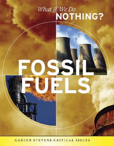 Fossil Fuels (What If We Do Nothing?) (9781433900877) by Gorman, Jacqueline Laks