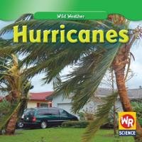Imagen de archivo de Hurricanes a la venta por Wonder Book