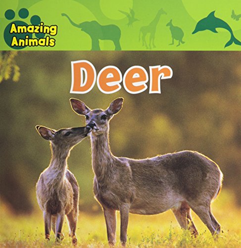 Deer (Amazing Animals) (9781433921193) by Wilsdon, Christina