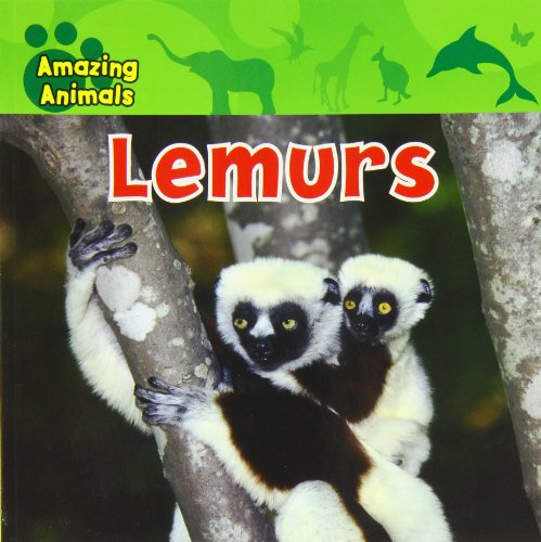 Lemurs (Amazing Animals) (9781433921247) by Baicker, Karen; Delaney, Kate; Yates, Sharon