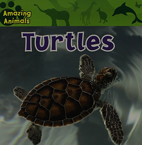 Turtles (Amazing Animals) (9781433921278) by Wilsdon, Christina
