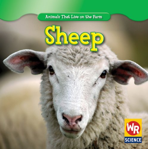 Beispielbild fr Sheep zum Verkauf von Better World Books