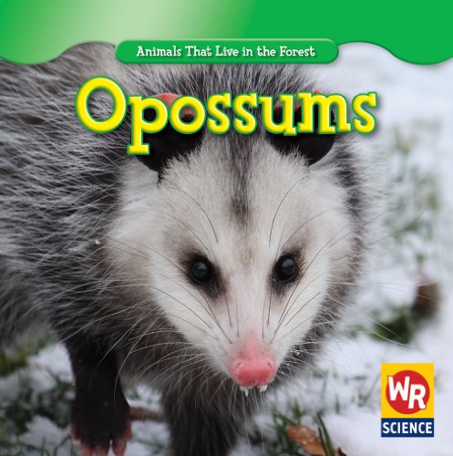Beispielbild fr Opossums zum Verkauf von Better World Books