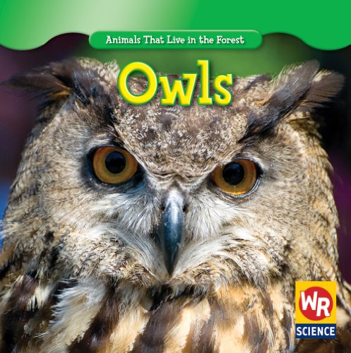 Owls (Animals That Live in the Forest) (9781433924064) by Macken, Joann Early