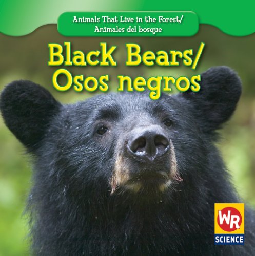 Beispielbild fr Black Bears / Osos Negros zum Verkauf von Better World Books