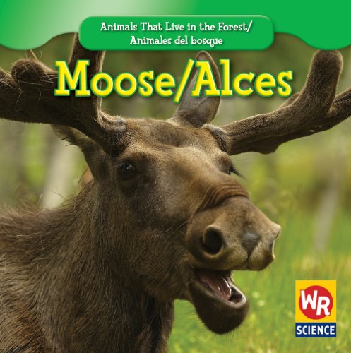 Moose/ Alces (Animals That Live in the Forest/Animales Del Bosque) (English and Spanish Edition) (9781433924361) by Macken, Joann Early