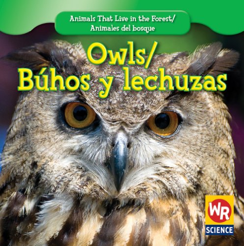 Owls/ Buhos Y Lechuzas (Animals That Live in the Forest/Animales Del Bosque) (English and Spanish Edition) (9781433924385) by Macken, Joann Early