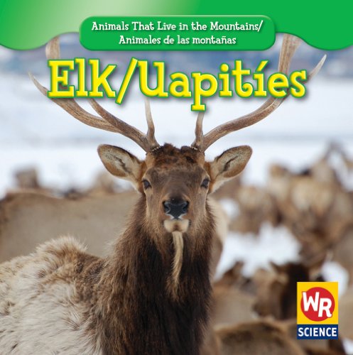 Elk / UapitÃ­es (Animals That Live In The Mountains / Animales de las MontaÃ±as (First Edition)) (English and Spanish Edition) (9781433924446) by Macken, JoAnn Early