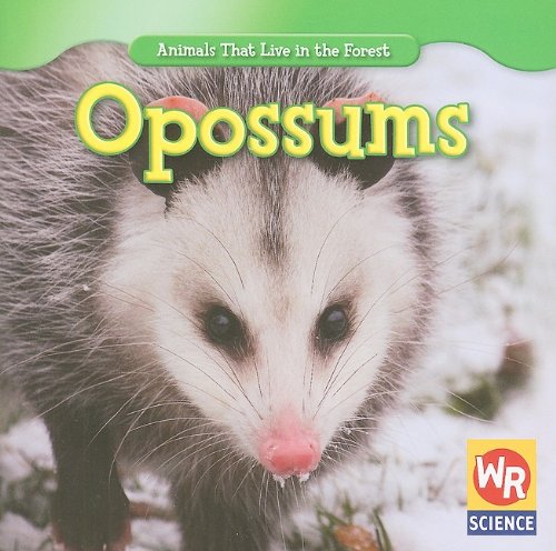 Opossums (Animals That Live in the Forest) (9781433924811) by Macken, Joann Early