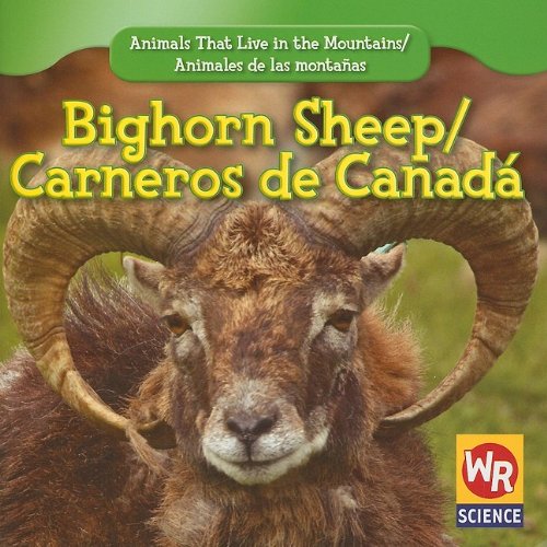 Bighorn Sheep / Carnero de CanadÃ¡ (Animals That Live In The Mountains / Animales de las MontaÃ±as (First Edition)) (English and Spanish Edition) (9781433924996) by Macken, JoAnn Early