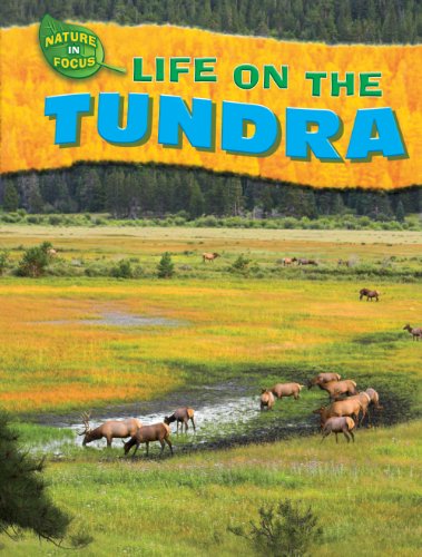 Life on the Tundra (Nature in Focus) (9781433934179) by Green, Jen