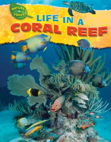 Imagen de archivo de Life in a Coral Reef a la venta por Better World Books