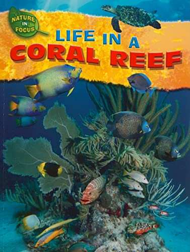 Stock image for Life in a Coral Reef (Nature in Focus) for sale by HPB Inc.