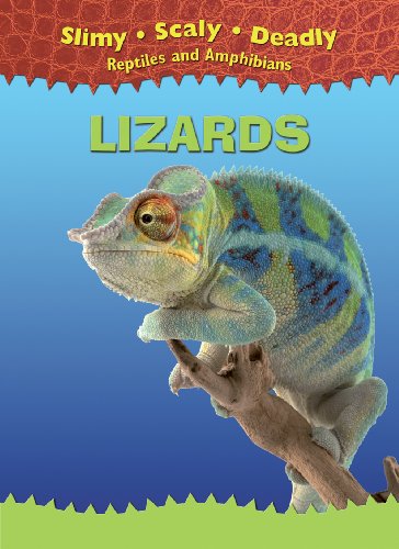 9781433934261: Lizards (Slimy, Scaly, Deadly Reptiles and Amphibians)