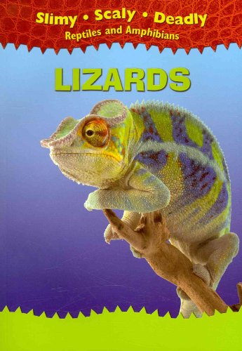 9781433934278: Lizards (Slimy, Scaly, Deadly Reptiles and Amphibians)