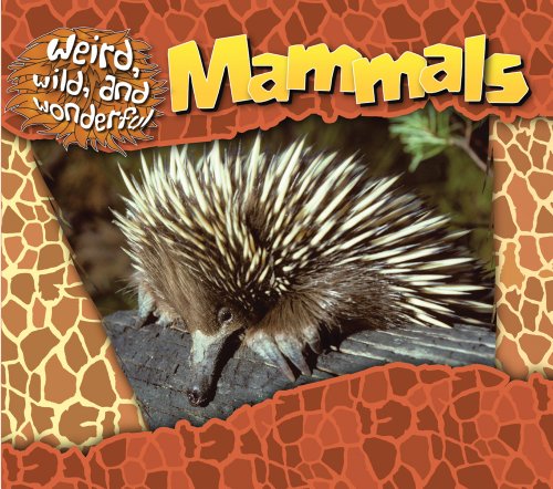 9781433935732: Mammals (Weird, Wild, and Wonderful)