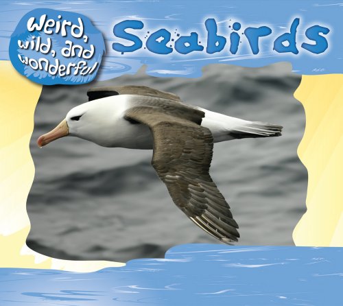 Beispielbild fr Sea Birds zum Verkauf von Better World Books