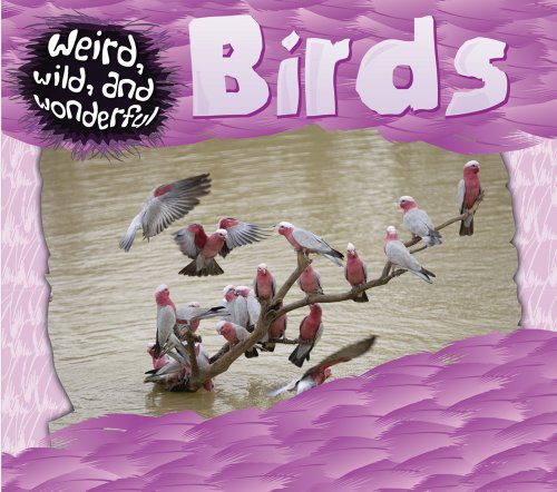 Imagen de archivo de Birds a la venta por ThriftBooks-Atlanta