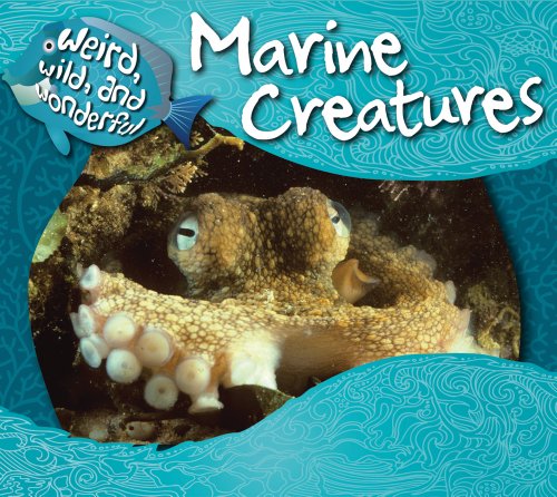 Stock image for Marine Creatures for sale by ThriftBooks-Atlanta
