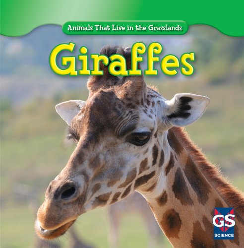 Imagen de archivo de Giraffes (Animals That Live in the Grasslands) a la venta por Irish Booksellers