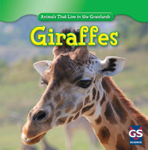 Stock image for Giraffes (Animals That Live in the Grasslands) for sale by Irish Booksellers