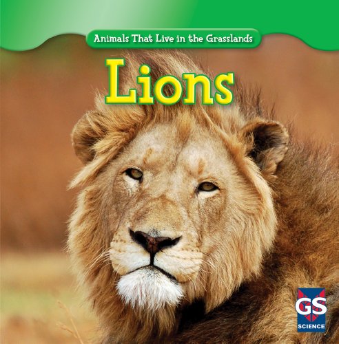 Stock image for Lions for sale by ThriftBooks-Dallas
