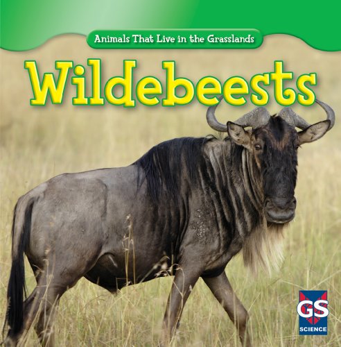 9781433938856: Wildebeests (Animals That Live in the Grasslands)