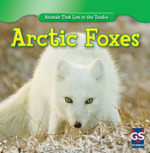 Imagen de archivo de Arctic Foxes (Animals That Live in the Tundra) a la venta por Book Deals