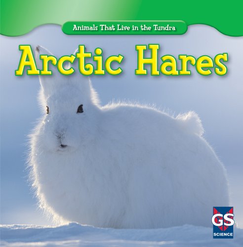 9781433938917: Arctic Hares (Animals That Live in the Tundra)