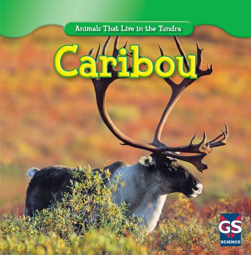 Beispielbild fr Caribou (Animals That Live in the Tundra) zum Verkauf von Once Upon A Time Books