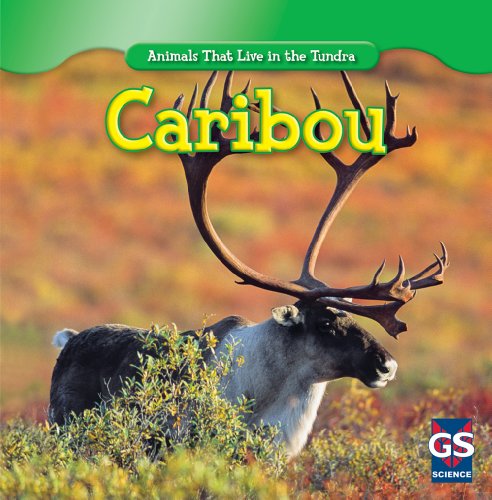 Imagen de archivo de Caribou (Animals That Live in the Tundra) a la venta por Once Upon A Time Books