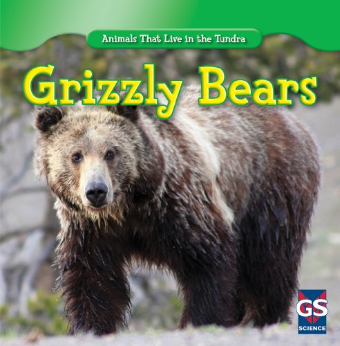 Beispielbild fr Grizzly Bears zum Verkauf von Buchpark