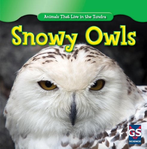 Stock image for Snowy Owls for sale by Better World Books: West