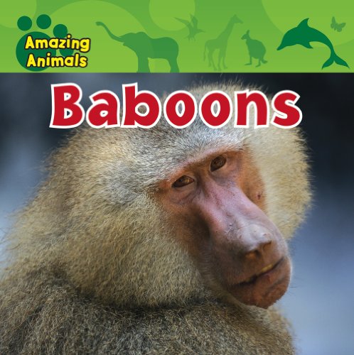 9781433940040: Baboons (Amazing Animals)