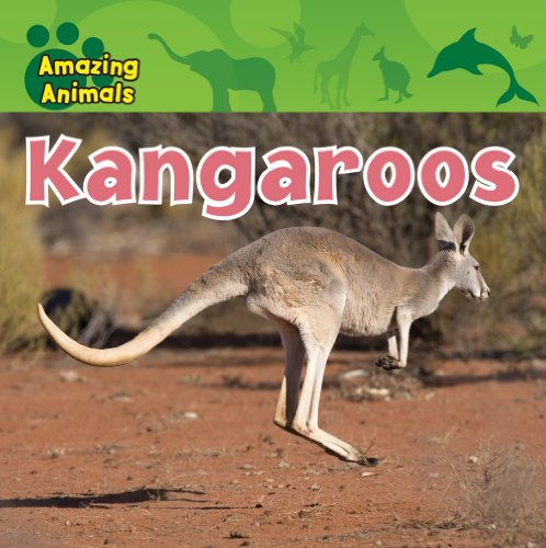 9781433940170: Kangaroos (Amazing Animals)