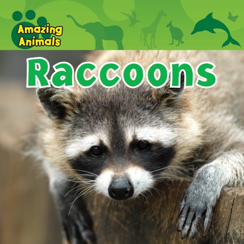 Raccoons - Baicker, Karen