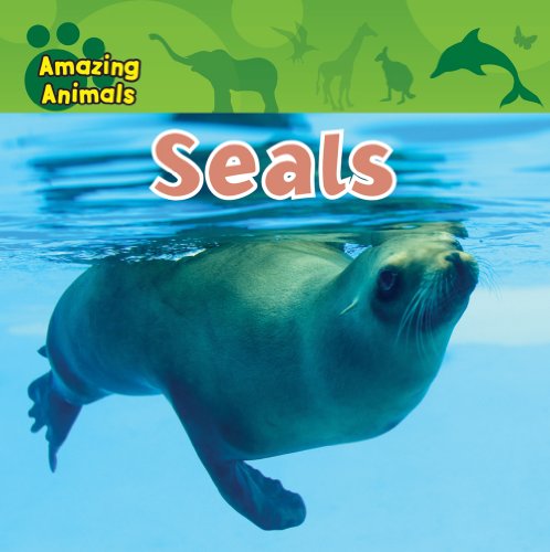 Seals (Amazing Animals) (9781433940262) by Wilsdon, Christina