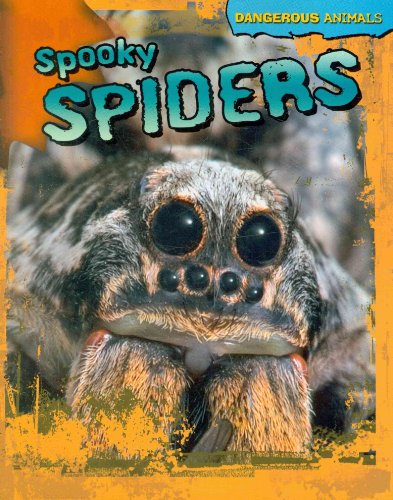 Spooky Spiders (Dangerous Animals) (9781433940507) by Jackson, Tom