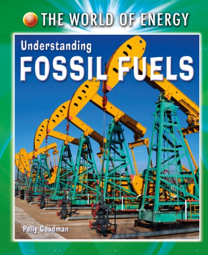 Stock image for Understanding Fossil Fuels for sale by Better World Books: West