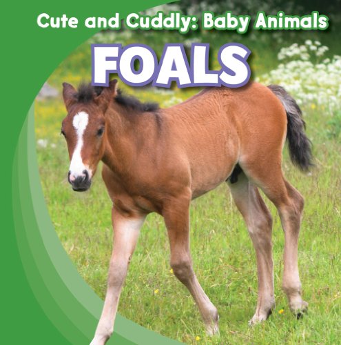 9781433945076: Foals (Cute and Cuddly: Baby Animals)