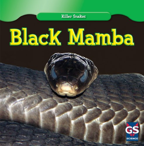 Imagen de archivo de Black Mamba (Killer Snakes) a la venta por Irish Booksellers