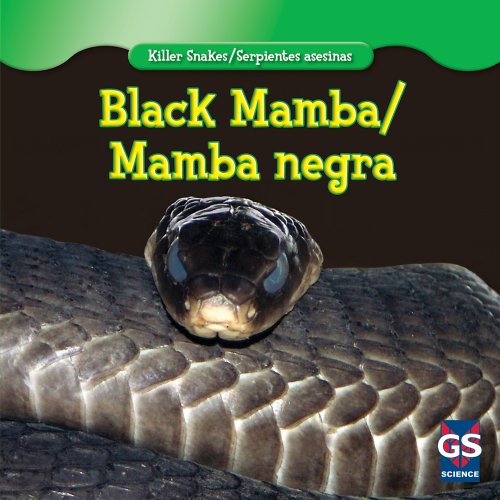 9781433945335: Black Mamba / Mamba negra (Killer Snakes / Serpientes asesinas)
