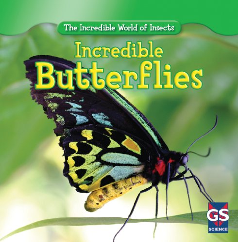 Beispielbild fr Incredible Butterflies (The Incredible World of Insects) zum Verkauf von Jenson Books Inc