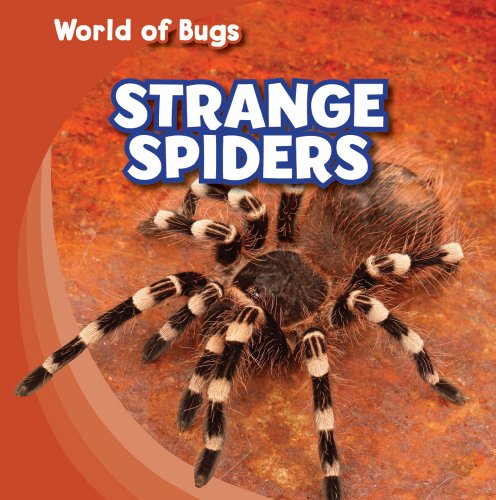 Strange Spiders (World of Bugs) (9781433946110) by Roza, Greg