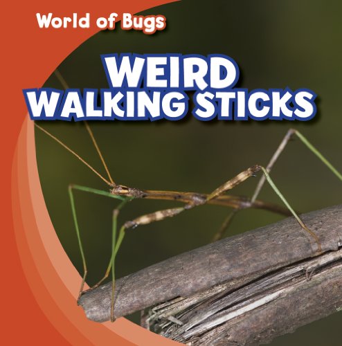 Weird Walking Sticks (World of Bugs) (9781433946165) by Roza, Greg