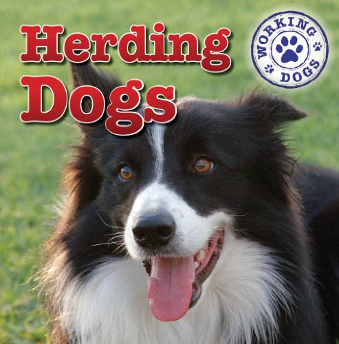 9781433946561: Herding Dogs (Working Dogs)