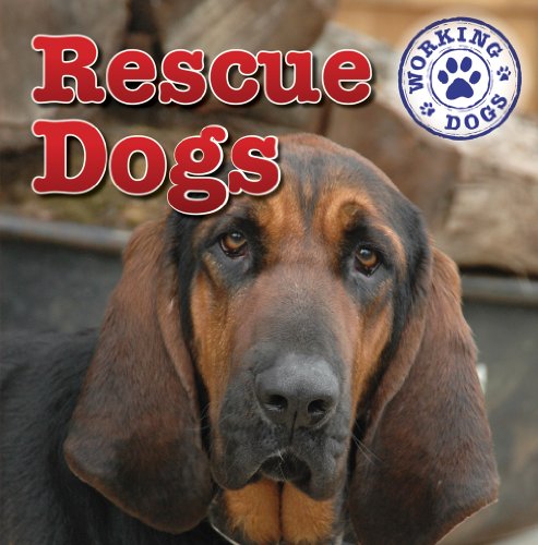 Stock image for Rescue Dogs for sale by Better World Books