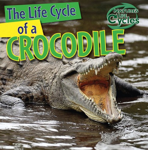 Stock image for The Life Cycle of a Crocodile (Nature's Life Cycles) for sale by GF Books, Inc.